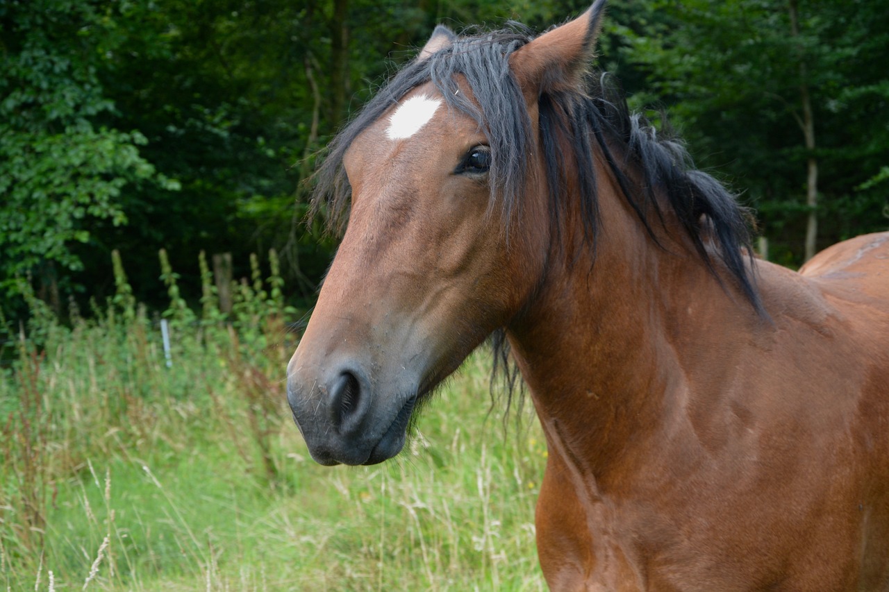 2024澳门特马今晚开奖香港,实例验证研究_VG744.095