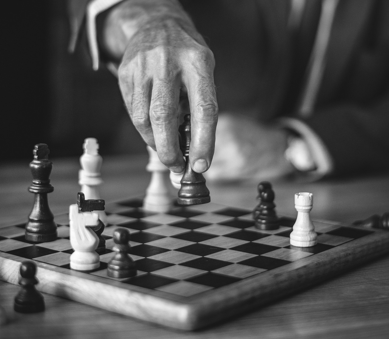 五月益智仁最新价格资讯，探寻价格走势与查询